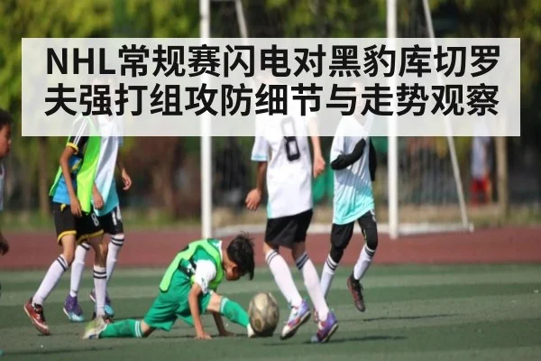 NHL常规赛闪电对黑豹库切罗夫强打组攻防细节与走势观察